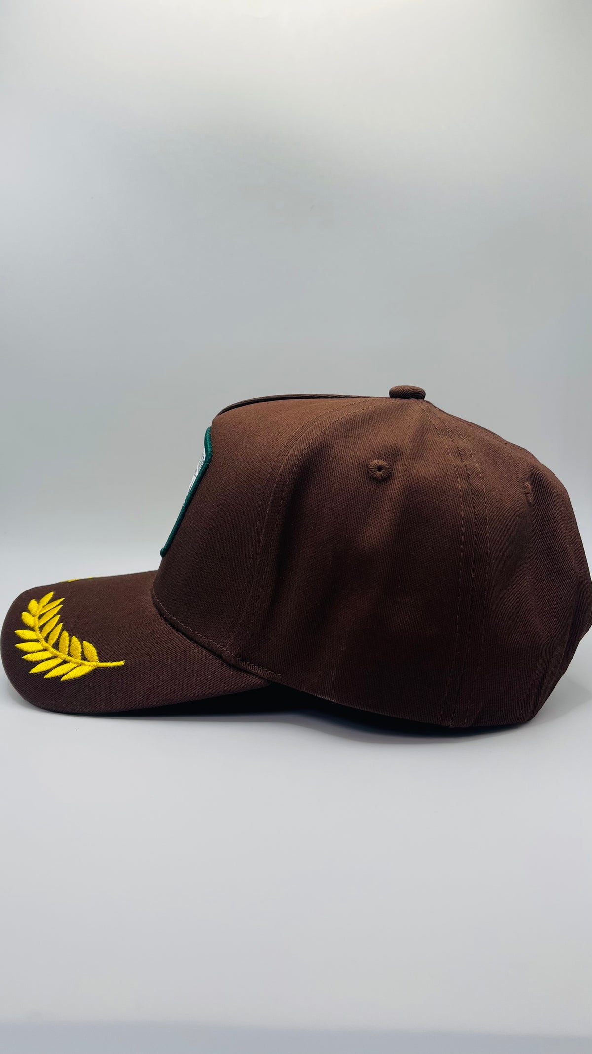 Buck Your Ideas ‘Feather Mountain’ cap